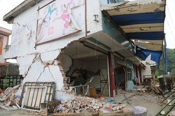 San Francisco’s innovative BORP: A model for resilience image