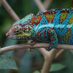 Adaptability prevails. In design. In investments. In life. image