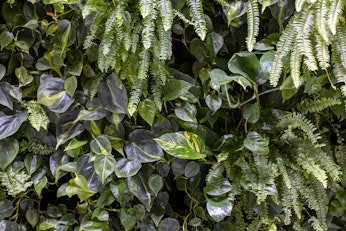 Marx|Okubo consults for biophilic-designed residential project in Denver's RiNo neighborhood image