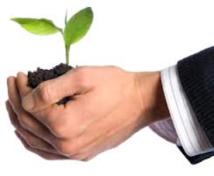 Marx|Okubo's Growth Continues in the East image